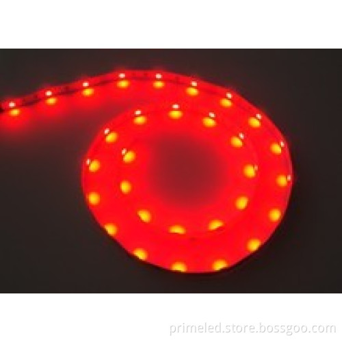 60leds/m Red 5050 Smd Led Strip Lights